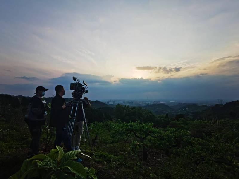 聚焦上林县产品宣传视频拍摄公司，用专业实力铸就品牌传播传奇