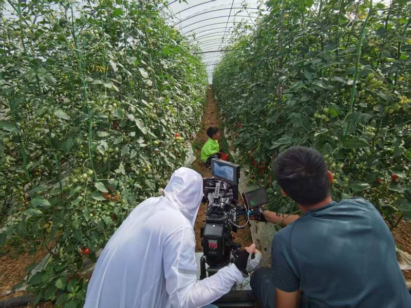 上林县产品宣传视频拍摄公司进阶指南，助力品牌抢占传播高地